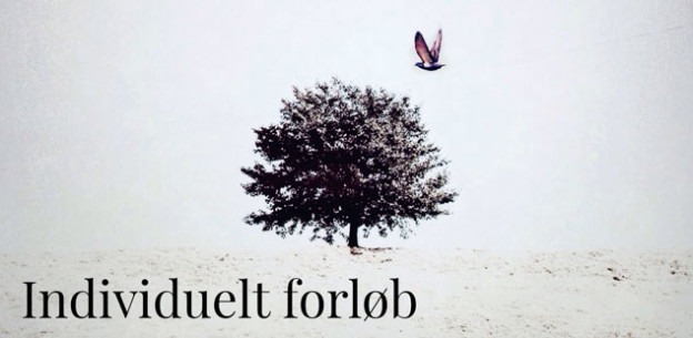 Individuel_forloeb