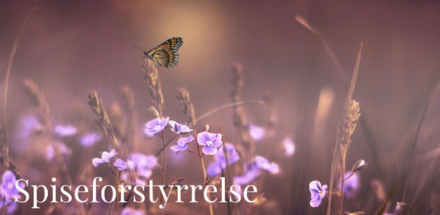 Spiseforstyrrelse